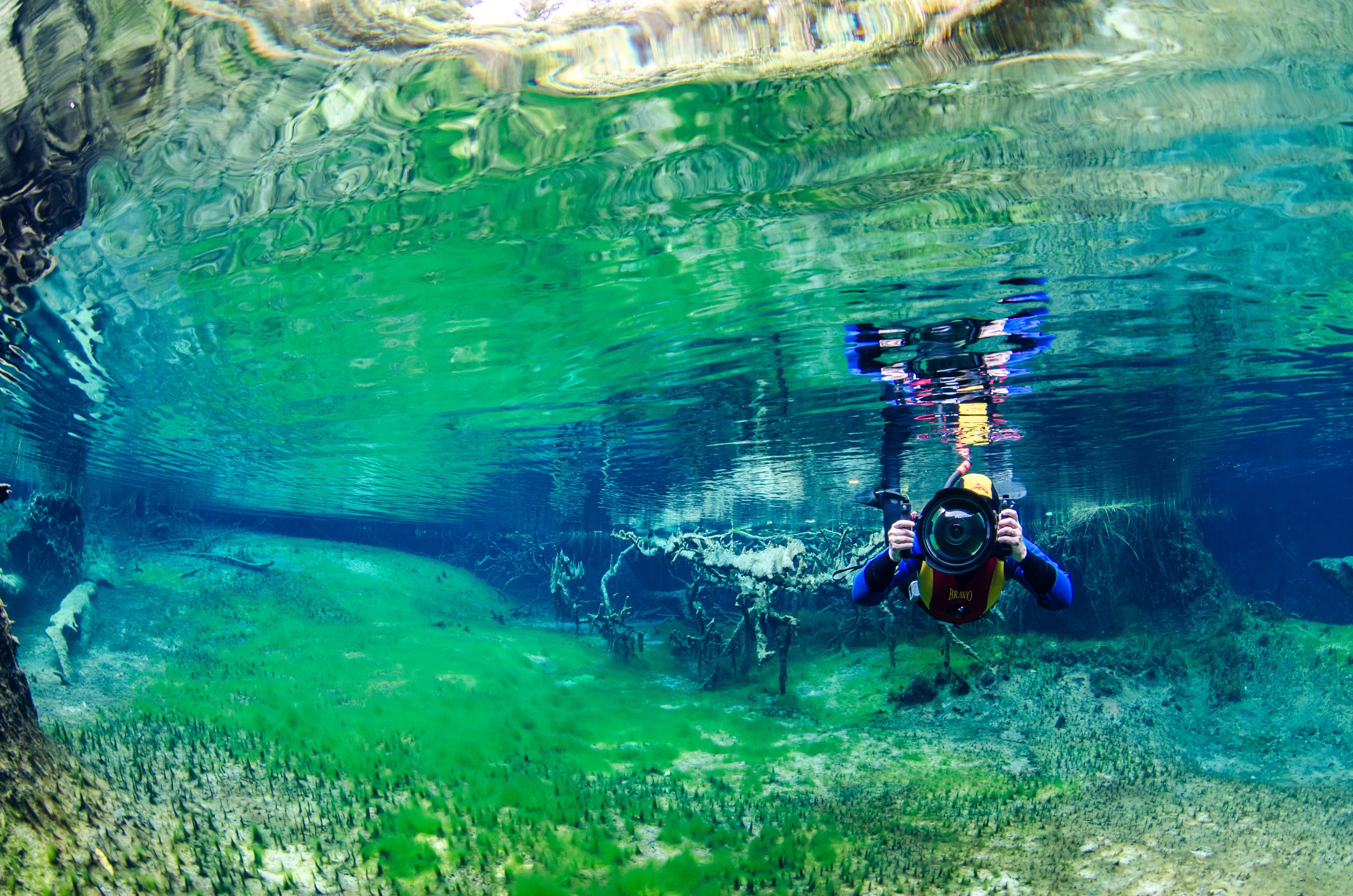 DSC_0718 – crispin, ITS A SECRET!, secret, lake, cold, clear water, clear, spring, river, stream, underwater, crispin, nz, new zealand, new, zealand,